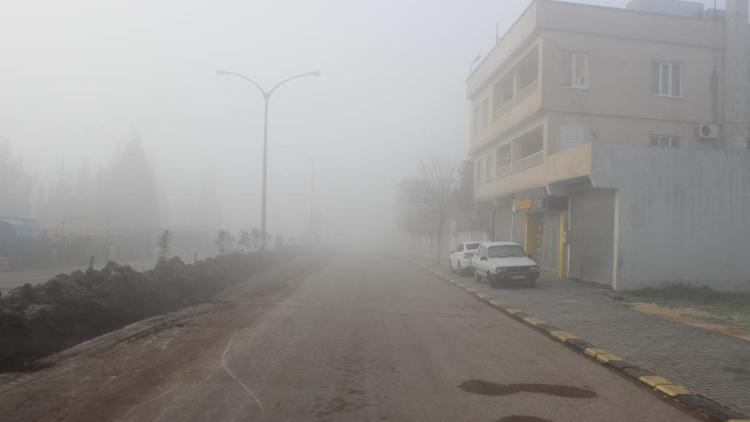 Yavuzelide yoğun sis hayatı olumsuz etkiledi