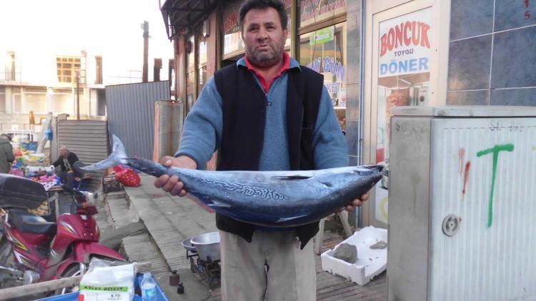 Saros Körfezinde, 10 kilogramlık torik yakalandı