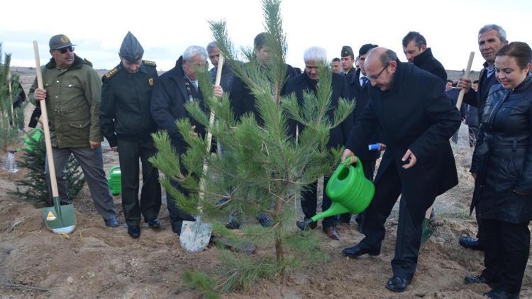 Kan bağışında bulunan 9 bin kişi için, 9 bin fidan dikildi