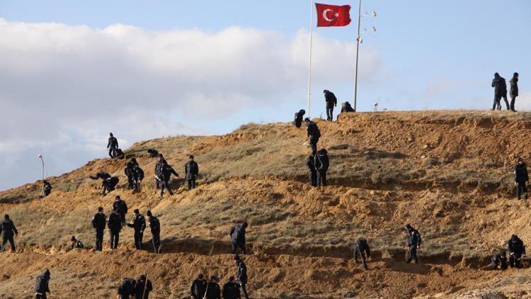 Polis adayları, 2 bin çam fidanı dikti