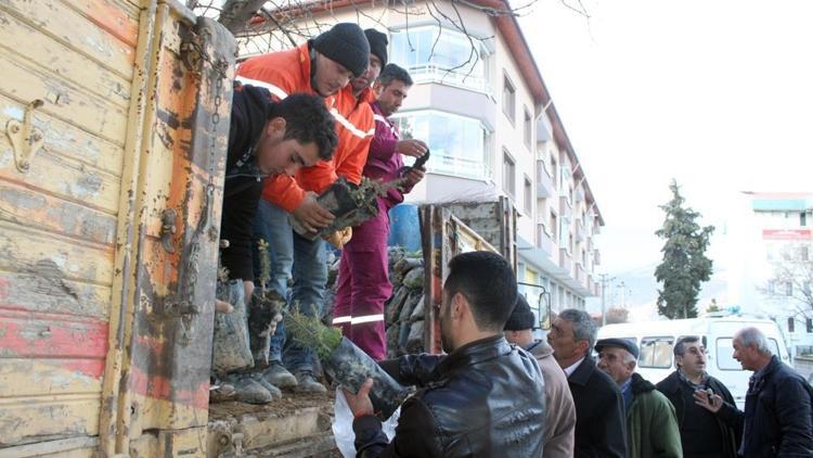 Yılbaşında ağaç kesmek yerine fidan dikecekler