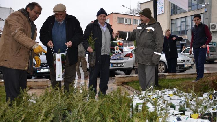 Gümüşhacıköyde 500 çam fidanı dağıtıldı