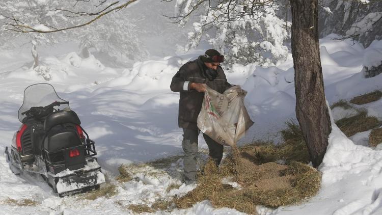 Bolu Dağındaki yılkı atlarına yem bırakıldı