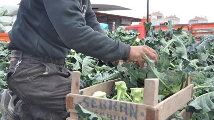 Bafra Sebze ve Meyve Halinde fiyatlar arttı