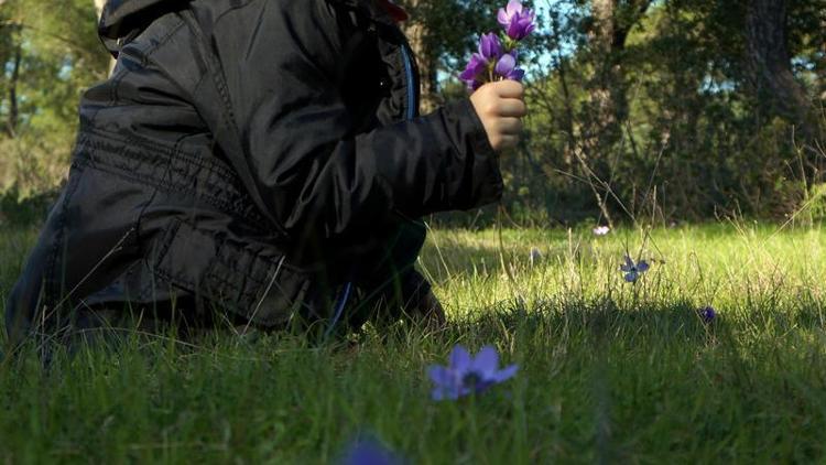 Güney Egede yalancı bahar sevinci