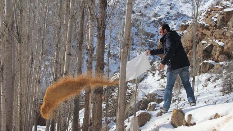 Sivasta yabani kuşlar için doğaya yem bırakıldı