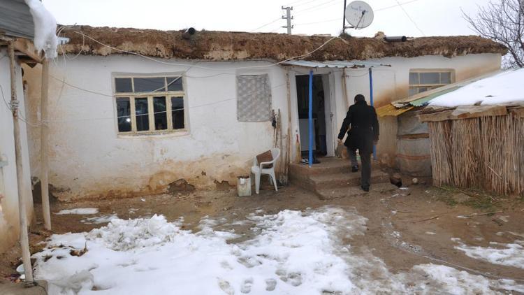 Ulu çınarlara ikinci baharında devlet sahip çıkıyor