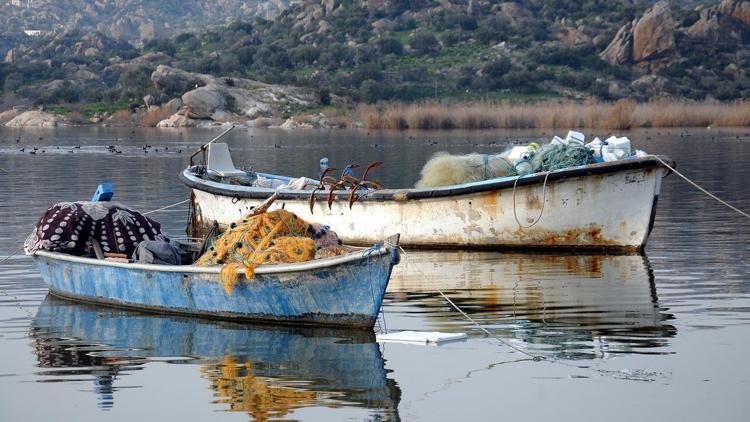 Yağışlarla temizlenen Bafa Gölünde balık bereketi