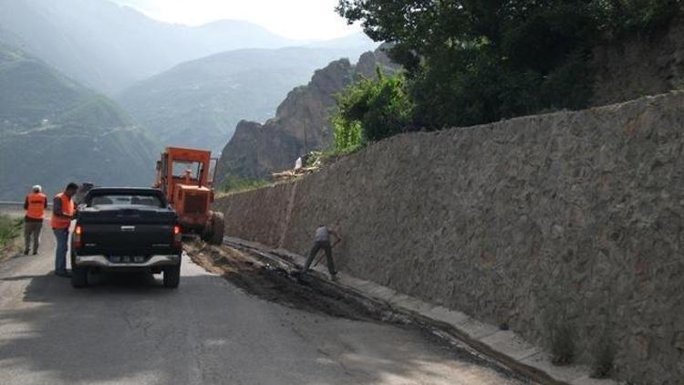 KÖYDES projesi Artvine hayat verdi