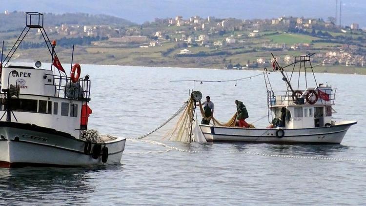 Sinopta kefal bolluğu