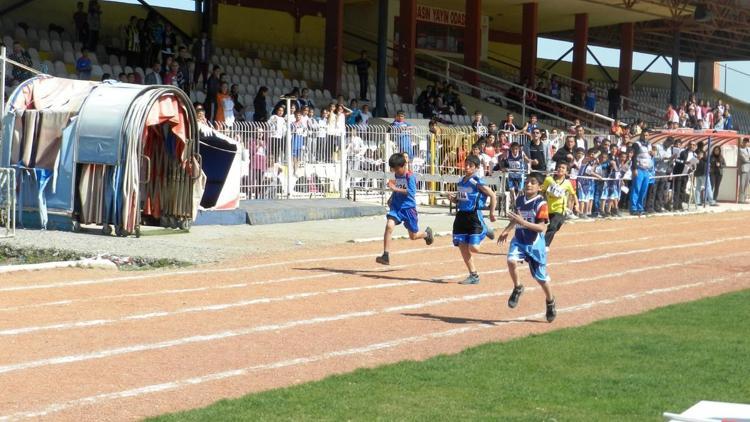 Çözüm sürecinde spora yatırım, milli sporcuları artırdı