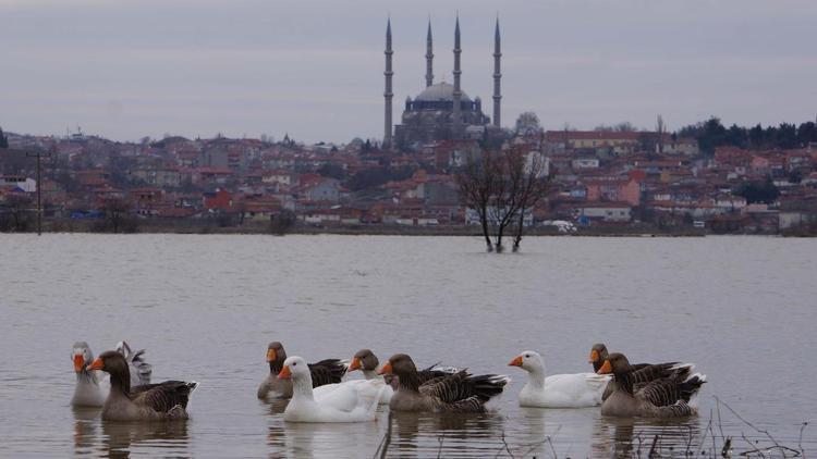 Taşkın, 1 milyon dönüm araziyi etkiledi