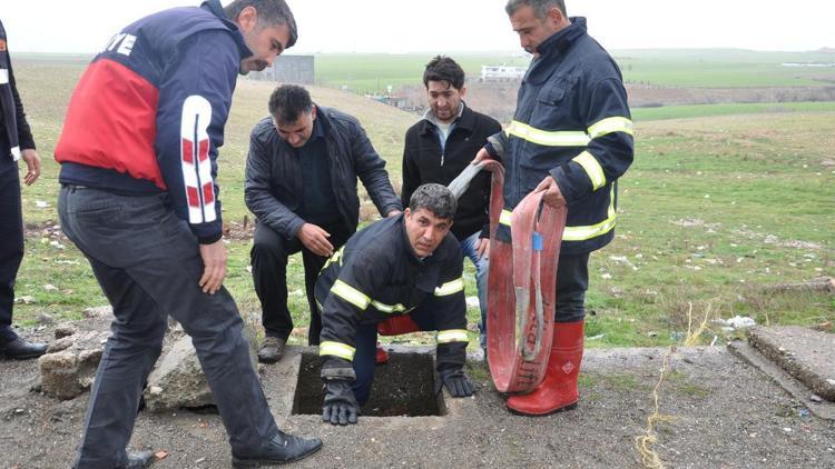 Adıyamanda kuyuya düşen köpeği itfaiye kurtardı