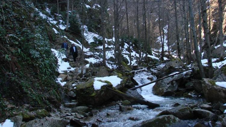 Çağlayandibi Şelalesi turizme kazandırılacak