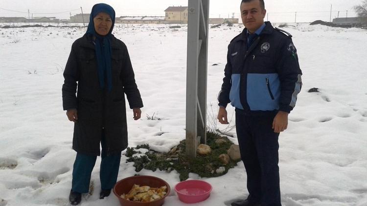 Sarayönü Belediyesinden sokak hayvanlarına yem desteği