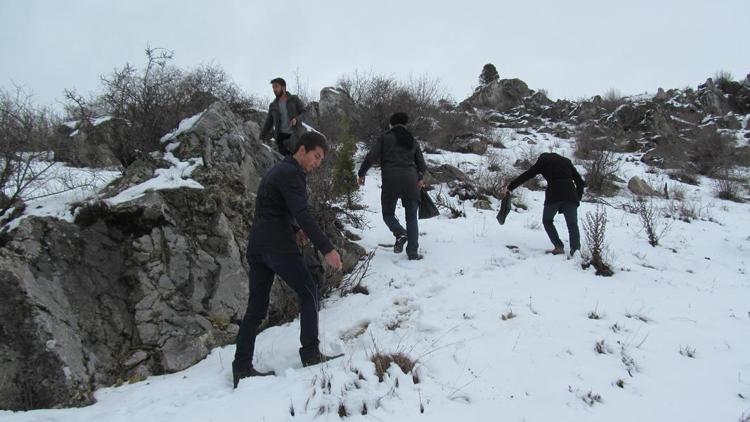 Turhalda yaban hayvanları için doğaya yem bırakıldı