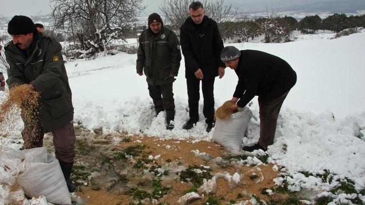 Bursada yaban hayvanlarına yem desteği