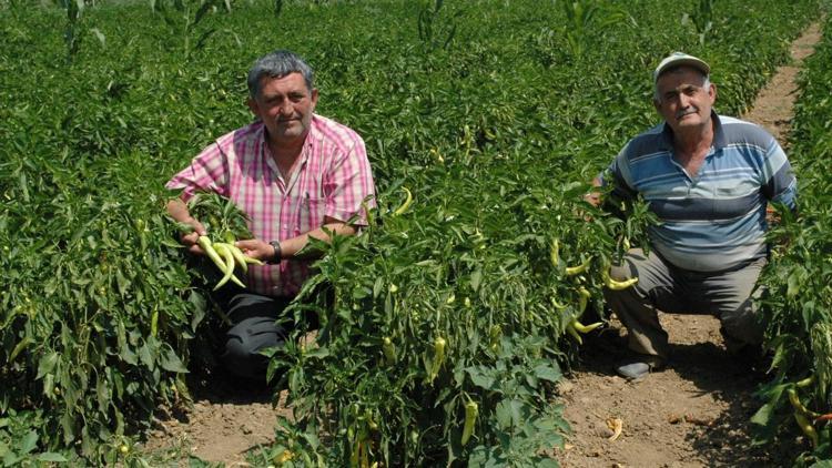 Yenişehir Ziraat Odası Başkanı Aktaş: