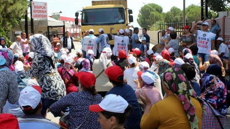 CHPli vekillerden Alaşehirde grevdeki üzüm işçilerine destek