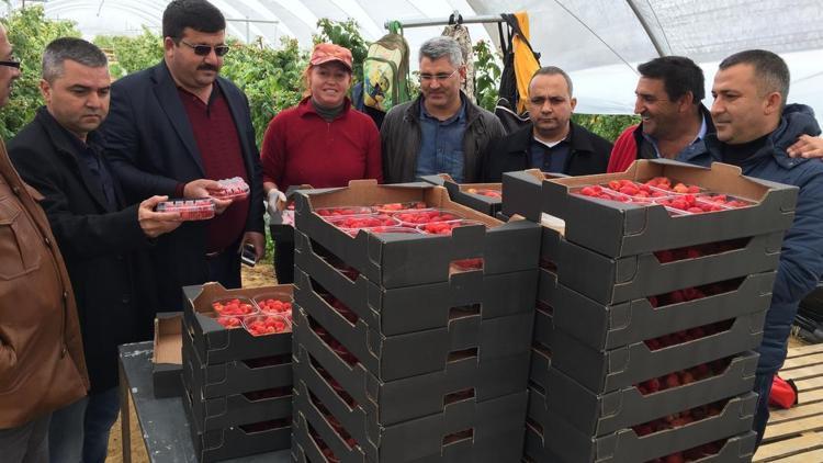 Silifkeli üreticilerden İspanyada inceleme