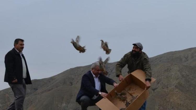 Pertek Belediyesi’nden Yaban Hayatını Koruma Ve Geliştirme Çalışmaları