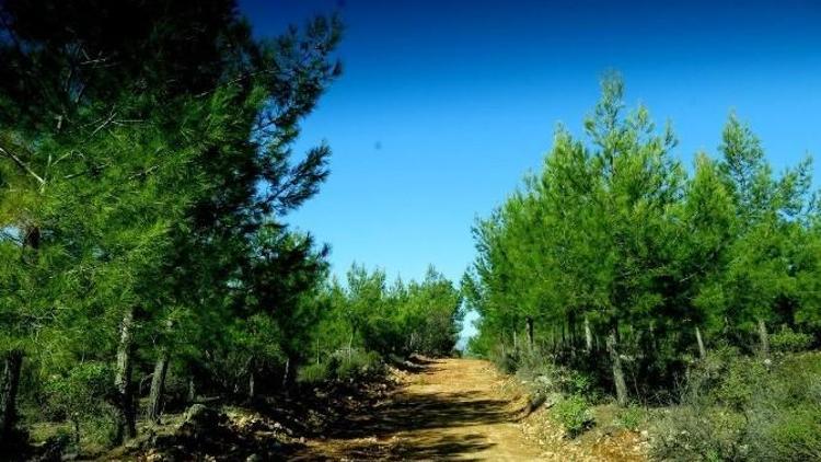 Güver Kanyonu’nda Doğa Yürüyüşü Düzenlenecek