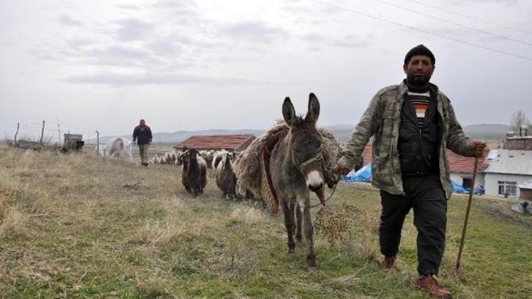 Yozgat’ta 324 Kişi Sürü Yönetimi Kursuna Katılıyor