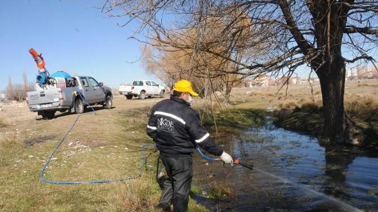 Niğde Belediyesi İlaçlama Ekipleri İş Başında