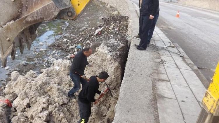 Van’da Köpek Kurtarma Operasyonu