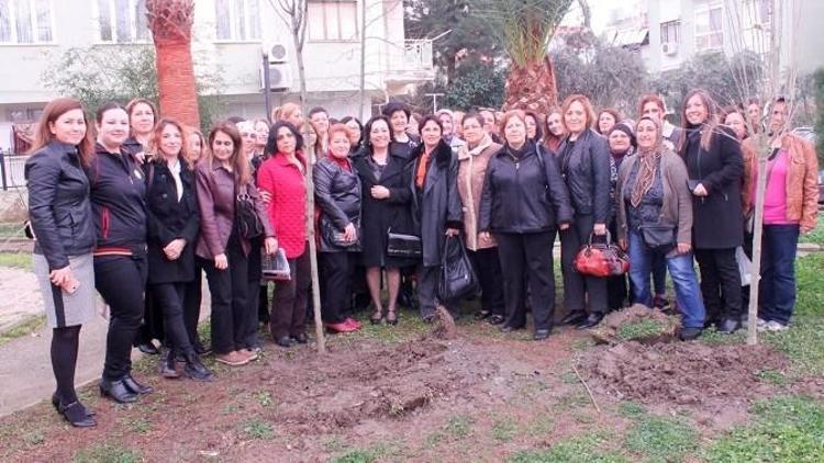 Selçuk’ta Şiddet Gören Kadınlar Anısına Fidan Dikildi