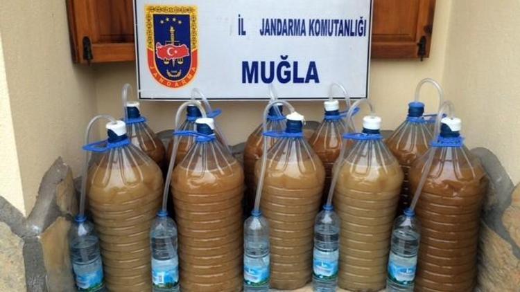 Jandarma’dan Sahte Alkol Operasyonu