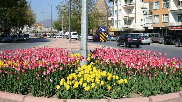 Melikgazi İlkbahara Hazır