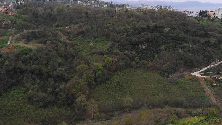 Trabzon Botanik Park’ın Yapımına Başlandı