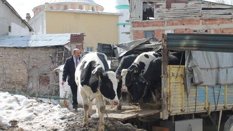 Bir İlk’de 184 Sayılı Bayburt Tarım Kredi Kooperatifinden