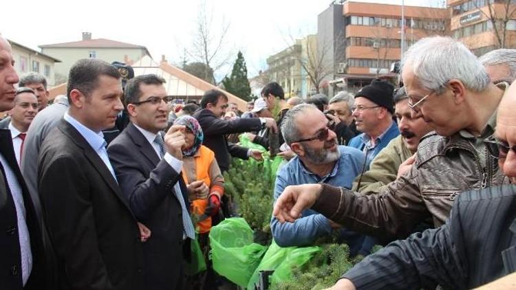 Yeşil Bir Çan İçin Ücretsiz 50 Bin Fidan