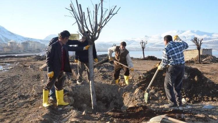 Tatvan Belediyesi Van Gölü Kıyısına Mesire Alanı Yapacak