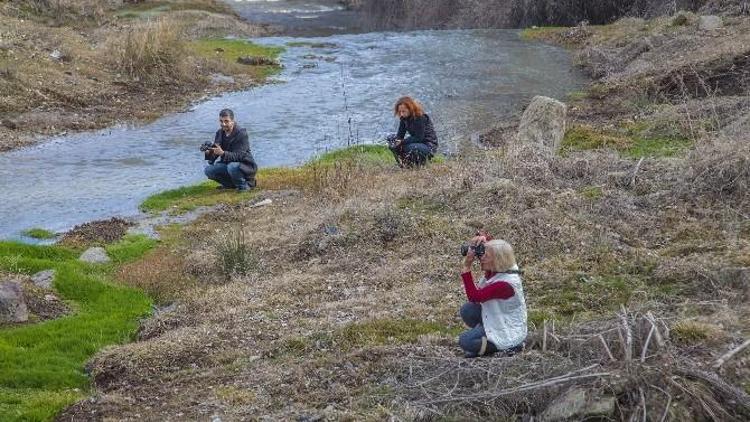 Ahlat, Fotoğrafçıların İlgi Odağı Oldu