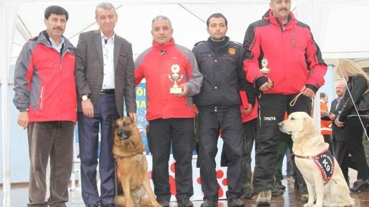 K-9’ların Uluslararası Başarısı