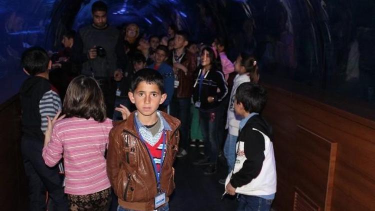 Hakkarili Çocukların Ankara’da Akvaryum Gezisi