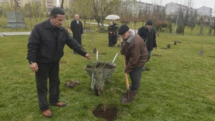 Yaşlılar Ağaç Dikme Şenliği’nde Buluştu