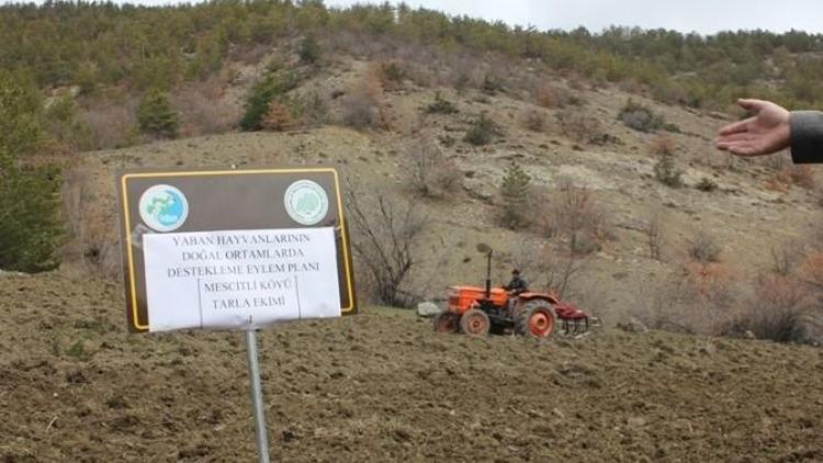 Gümüşhane’de Yaban Hayatı İçin Nadastaki Tarlalar Ekiliyor