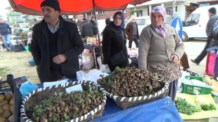 Doğal Şifa Deposu Pazardaki Yerini Aldı