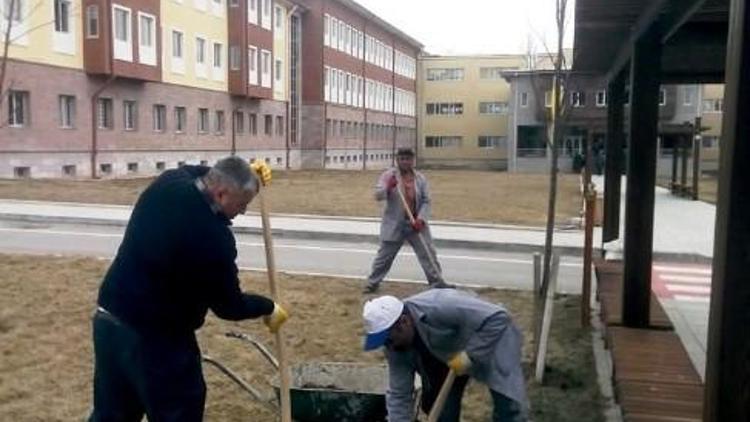 Erzincan Üniversitesinde Peyzaj Çalışmaları