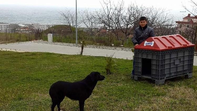 Atakum Belediyesi Atıklarla Hayvanlara Yuva Yapıyor