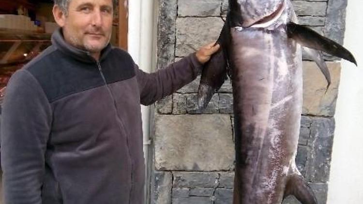 Datçalı Balıkçının Oltasına Kılıç Balığı Takıldı