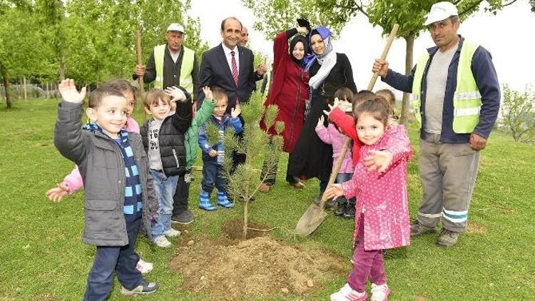 Yeni Yıldırım Yeşile Sahip Çıkıyor