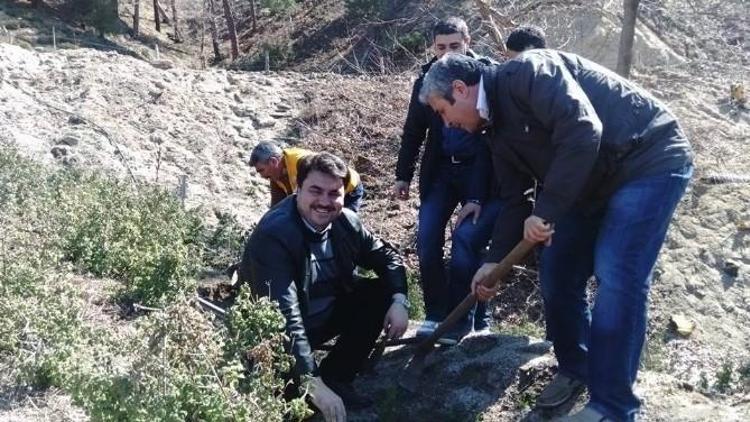 Orman Haftası Havran’da Kutlandı