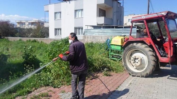 Ceyhan’da Ot Mücadelesi