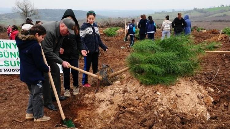 Öğrencilerden 100. Yıl Anısına Hatıra Ormanı