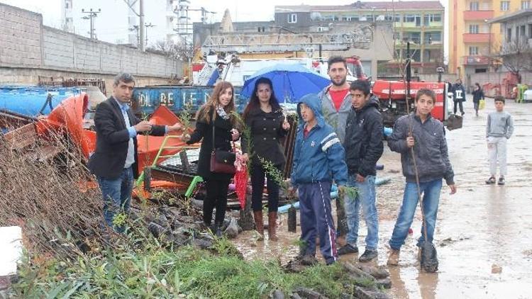 TEMA, İdil’deki Okulları Yeşillendiriyor